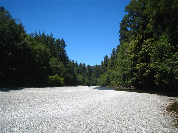 Redwood National & State Parks (7/26/2009 - Credits: "Redwood Creek" by Chris M. Morris (CC BY 2.0)[https://creativecommons.org/licenses/by/2.0/legalcode]https://www.flickr.com/photos/79666107@N00/)