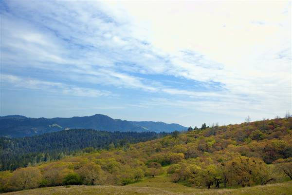Trione-Annadel State Park (SP) (9/8/2016 - Credits: "Annadel State Park and Mt. Hood http://drho.ro" by David Horowitz (CC BY-ND 2.0)[https://creativecommons.org/licenses/by-sa/2.0/legalcode]https://www.flickr.com/photos/drhorowitz/)