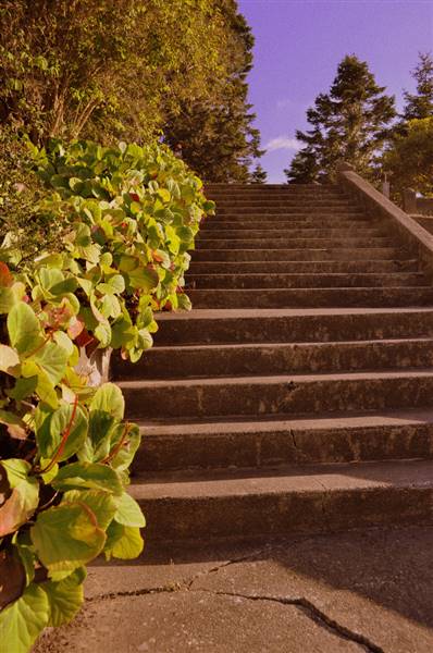Ferndale Cemetery (8/22/2010 - Credits: "Vintage Stairs" by Becky Simmons (CC BY-NC-ND 2.0)[https://creativecommons.org/licenses/by-nc-nd/2.0/legalcode]https://www.flickr.com/photos/southerncomposition/)