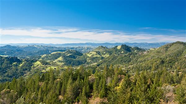 Robert Louis Stevenson State Park (SP) (2/14/2015 - Credits: "View from Palisades Trail 03" by Harminder Dhesi (CC BY-NC-ND 2.0)[https://creativecommons.org/licenses/by-nc-nd/2.0/legalcode] https://www.flickr.com/photos/harmyd/)