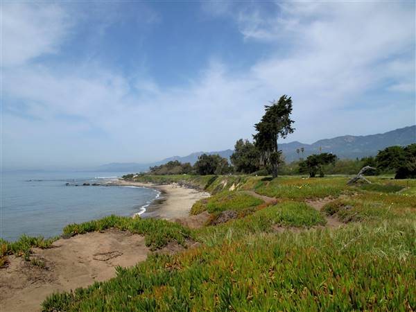 Carpinteria State Beach (SB) (3/19/2010 - Credits: "Carpinteria State Beach" by Myrna Litt (CC BY 2.0)[https://creativecommons.org/licenses/by/2.0/legalcode]https://www.flickr.com/photos/myrnalitt/)