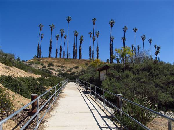 California Citrus State Historic Park (SHP) (3/24/2013 - Credits: "California Citrus State Historic Park" by Flickr User: Jasperdo (CC BY-NC-ND 2.0)[https://creativecommons.org/licenses/by-nc-nd/2.0/legalcode]https://www.flickr.com/photos/mytravelphotos/)