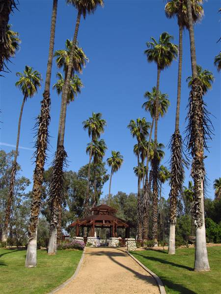 California Citrus State Historic Park (SHP) (3/24/2013 - Credits: "California Citrus State Historic Park" by Flickr User: Jasperdo (CC BY-NC-ND 2.0)[https://creativecommons.org/licenses/by-nc-nd/2.0/legalcode]https://www.flickr.com/photos/mytravelphotos/)
