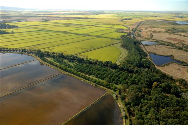 Sacramento-San Joaquin Delta (10/5/2016 - Credits: Photo courtesy of California Department of Water Resources)