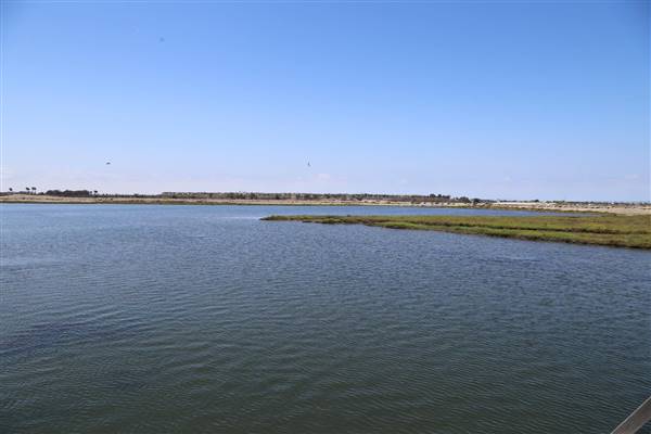 Bolsa Chica Ecological Reserve - California Department of Fish & Wildlife (CDFW) (10/18/2016 - Credits: Photo courtesy of Kris Bunting)