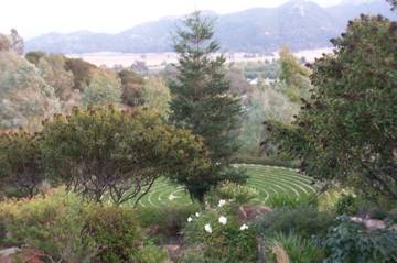 El Campeon Farms - Windy Hill Ranch (10/21/2016)