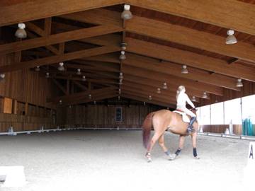 El Campeon Farms - Windy Hill Ranch (10/21/2016)