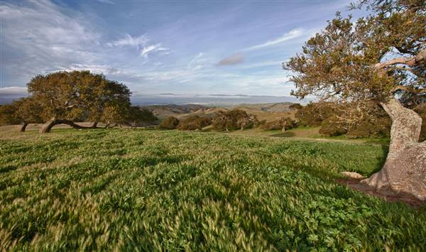 Fort Ord National Monument (4/30/2012 - Credits: "Fort Ord Scenery" by BLM California (CC BY-NC-ND 2.0)[https://creativecommons.org/licenses/by-nc-nd/2.0/legalcode] https://www.flickr.com/photos/blmcalifornia/)