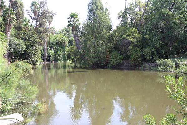 Los Angeles County Arboretum (11/3/2016 - Credits: Photo courtesy of Kris Bunting)