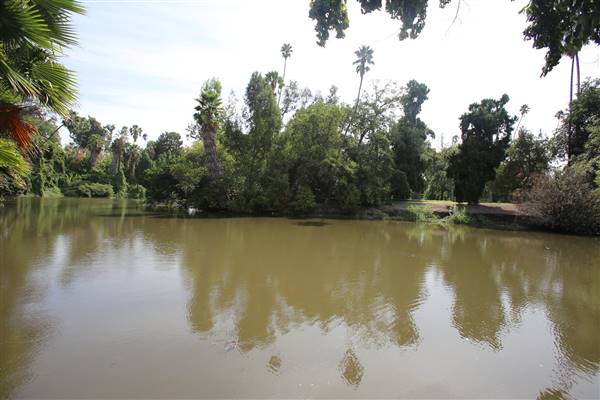 Los Angeles County Arboretum (11/3/2016 - Credits: Photo courtesy of Kris Bunting)