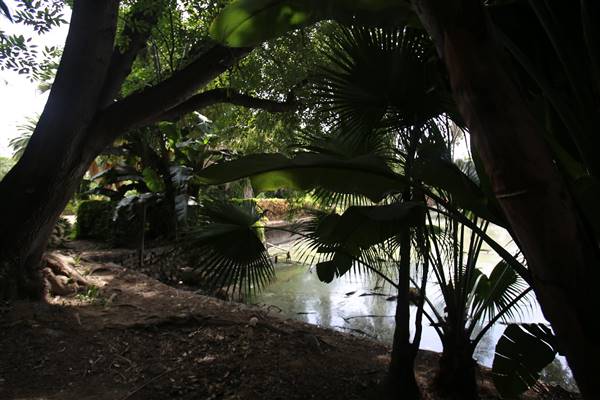 Los Angeles County Arboretum (11/3/2016 - Credits: Photo courtesy of Kris Bunting)