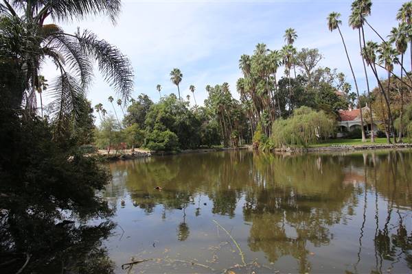Los Angeles County Arboretum (11/3/2016 - Credits: Photo courtesy of Kris Bunting)