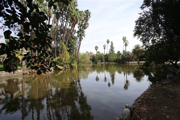 Los Angeles County Arboretum (11/3/2016 - Credits: Photo courtesy of Kris Bunting)