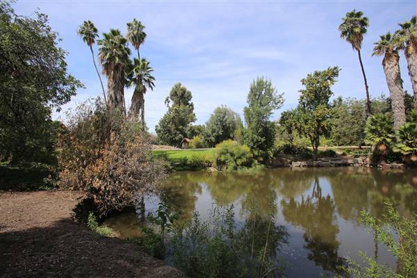Los Angeles County Arboretum (11/3/2016 - Credits: Photo courtesy of Kris Bunting)