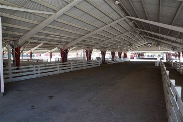Kern County Fair - 15th DAA - Various Barn and Livestock Areas (11/7/2016 - Credits: Barns & Livestock Area - Photo courtesy of Kern County Fair)