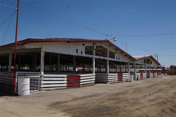 Kern County Fair - 15th DAA - Various Barn and Livestock Areas (11/7/2016 - Credits: Barns & Livestock Area - Photo courtesy of Kern County Fair)