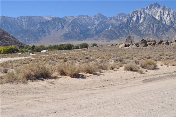 Alabama Hills - Bureau of Land Management / BLM - Bishop Field Office (11/15/2016 - Credits: Photo courtesy of Robin Citrin)