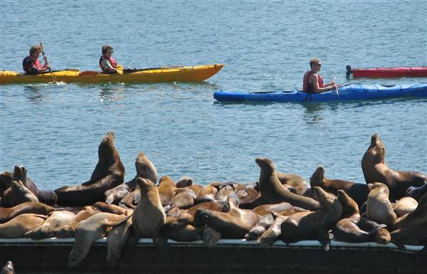 Moss Landing (6/28/2017)