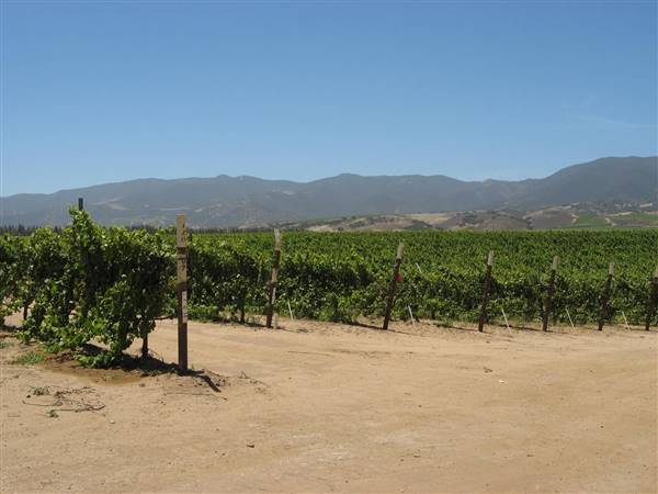 Joyce Winery (fka Ventana Vineyards) (6/28/2017)