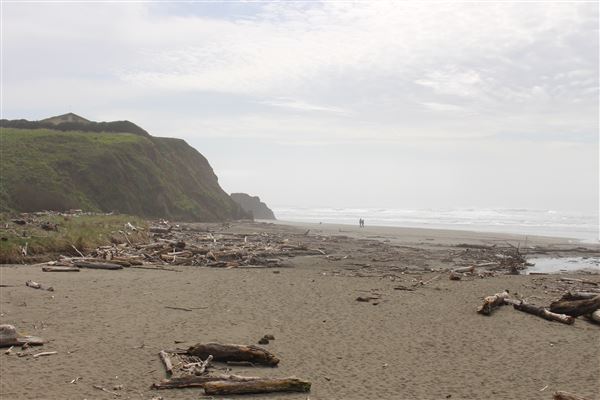 Seaside Beach - Seaside Creek (3/29/2017 - Credits: Kellen Lim)