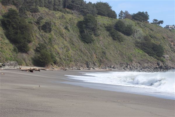Navarro River Beach - Navarro River Redwoods State Park (SP) (3/31/2017 - Credits: Kellen Lim)