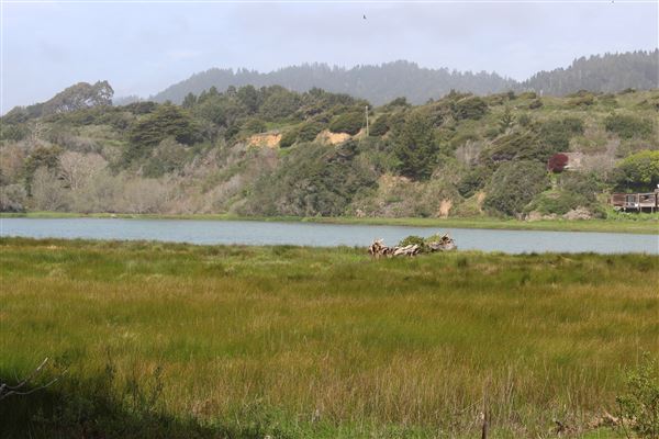 Ten Mile Estuary State Marine Conservation Area - Ten Mile River (3/29/2017 - Credits: Kellen Lim)
