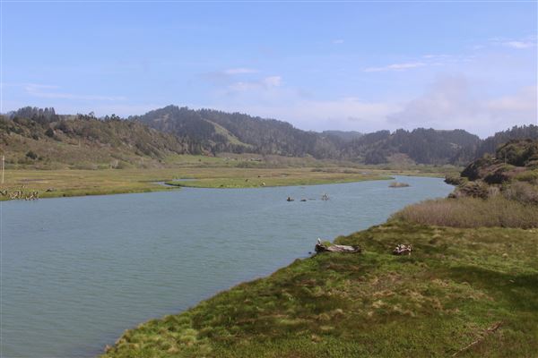 Ten Mile Estuary State Marine Conservation Area - Ten Mile River (3/29/2017 - Credits: Kellen Lim)