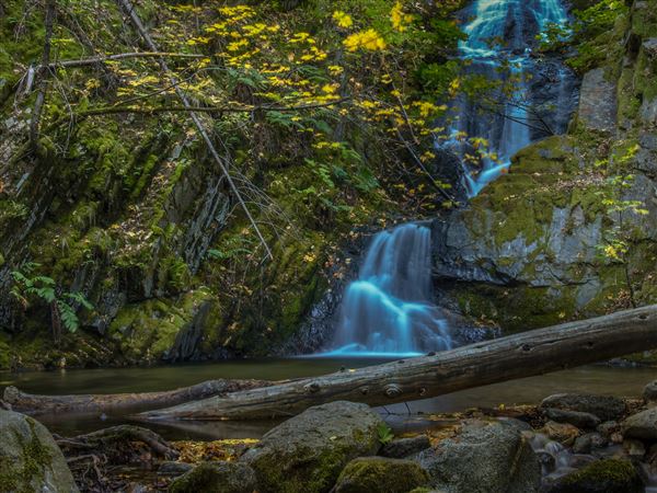 Shasta County Waterfalls (1/19/2018 - Credits: Michelle James)