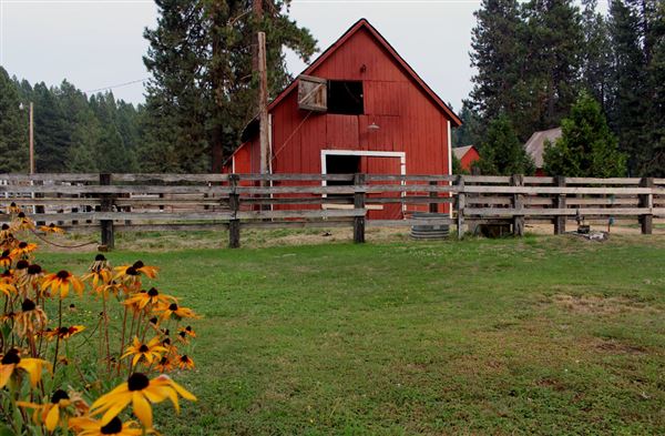 Shasta County Towns & Cities (1/19/2018)