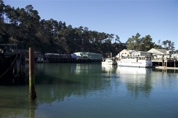 Noyo Harbor District - Noyo Harbor District (Noyo Harbor south bank) (2/13/2018 - Credits: Kellen Lim)