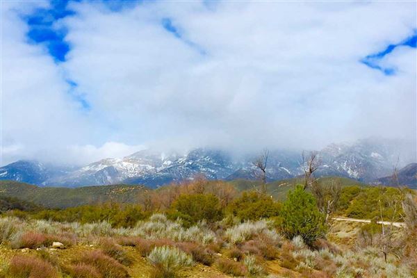 Rancho Grande (3/29/2018)