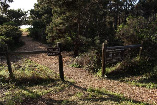 Mendocino Bay Overlook (Public Access Easement) - Overlook path entrance due east- shortest distance to Brewery Gulch Road (within 100ft) (4/18/2018 - Credits: Kellen Lim)