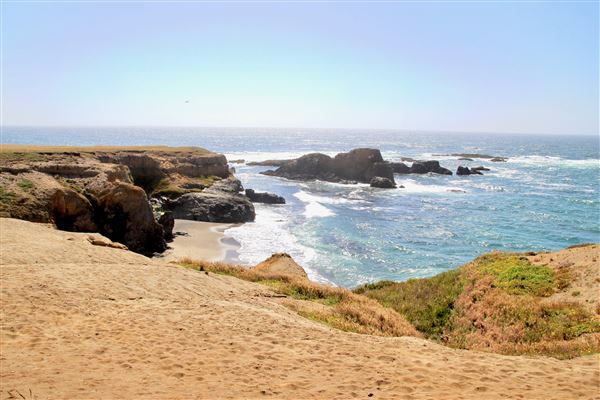 Van Damme State Park (SP) / Beach / Pygmy Forest / Fern Canyon Trail / Spring Ranch Trail - Spring Ranch Trail (7/9/2017 - Credits: Kellen Lim)