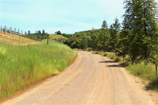 Peachland Road - Anderson Valley region- North East of Boonville, up on the ridge near a vineyard and ranch. (5/15/2018 - Credits: Kellen Lim)