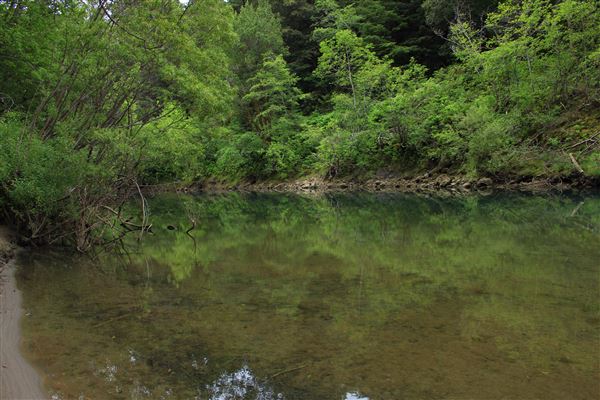 Navarro River - located in Hendy Woods State Park (SP) (5/15/2018 - Credits: Kellen Lim)