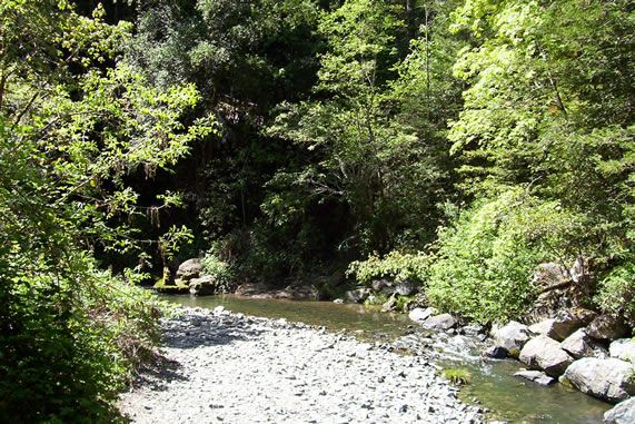 Alliance Redwoods Conference Grounds (7/25/2018)