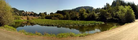 Casini Ranch Family Campground (7/25/2018)
