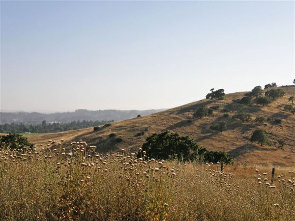 Crane Creek Regional Park (7/25/2018)