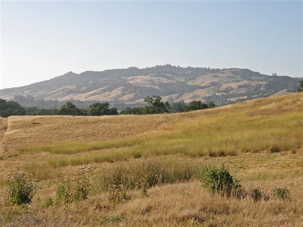 Crane Creek Regional Park (7/25/2018)