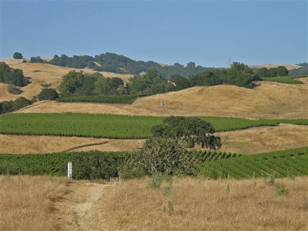Crane Creek Regional Park (7/25/2018)