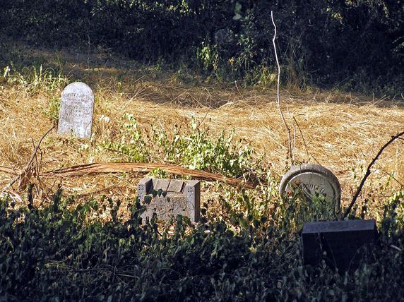 Cypress Hill Memorial Park (7/25/2018)