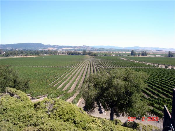 Gloria Ferrar Champagne Caves (7/25/2018)