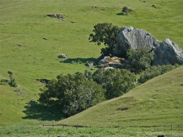 J G Angus Ranch (7/25/2018)