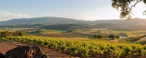 Kunde Family Winery (7/25/2018)