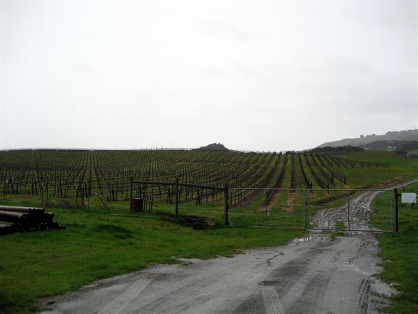 Tom Scott Ranch (7/25/2018)