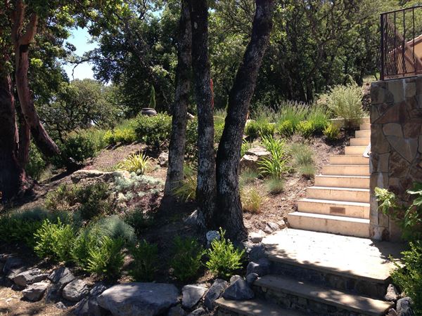 Sonoma Mountain Vista Estate (7/25/2018)