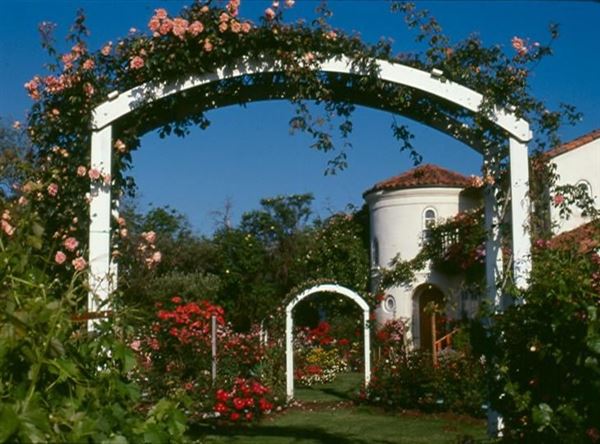 The Russian River Rose Company (7/25/2018)