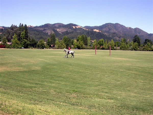 Wine Country Polo Club / Santa Rosa Polo Club (7/25/2018)