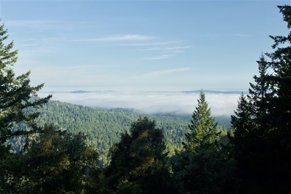 Greenwood Road - Greenwood Road/132 County Road, view from ridgeline (off road) (7/30/2018 - Credits: Kellen Lim)