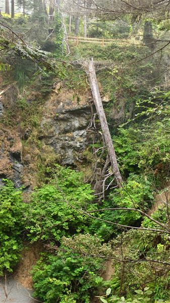 Little River Blowhole Trail - Little River - Blowhole Trail (8/6/2018 - Credits: Kellen Lim)